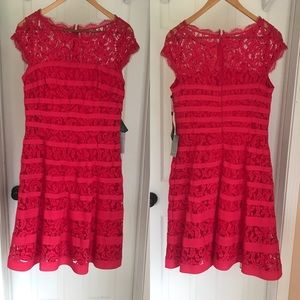 NWT Adrianna Papell Pink Lace Dress, Size 8